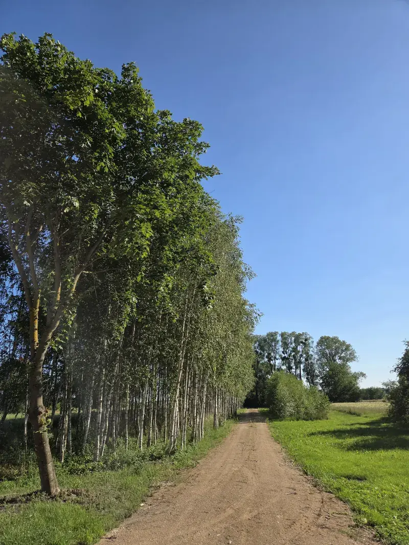 Zacisze na Podlasiu — siedlisko